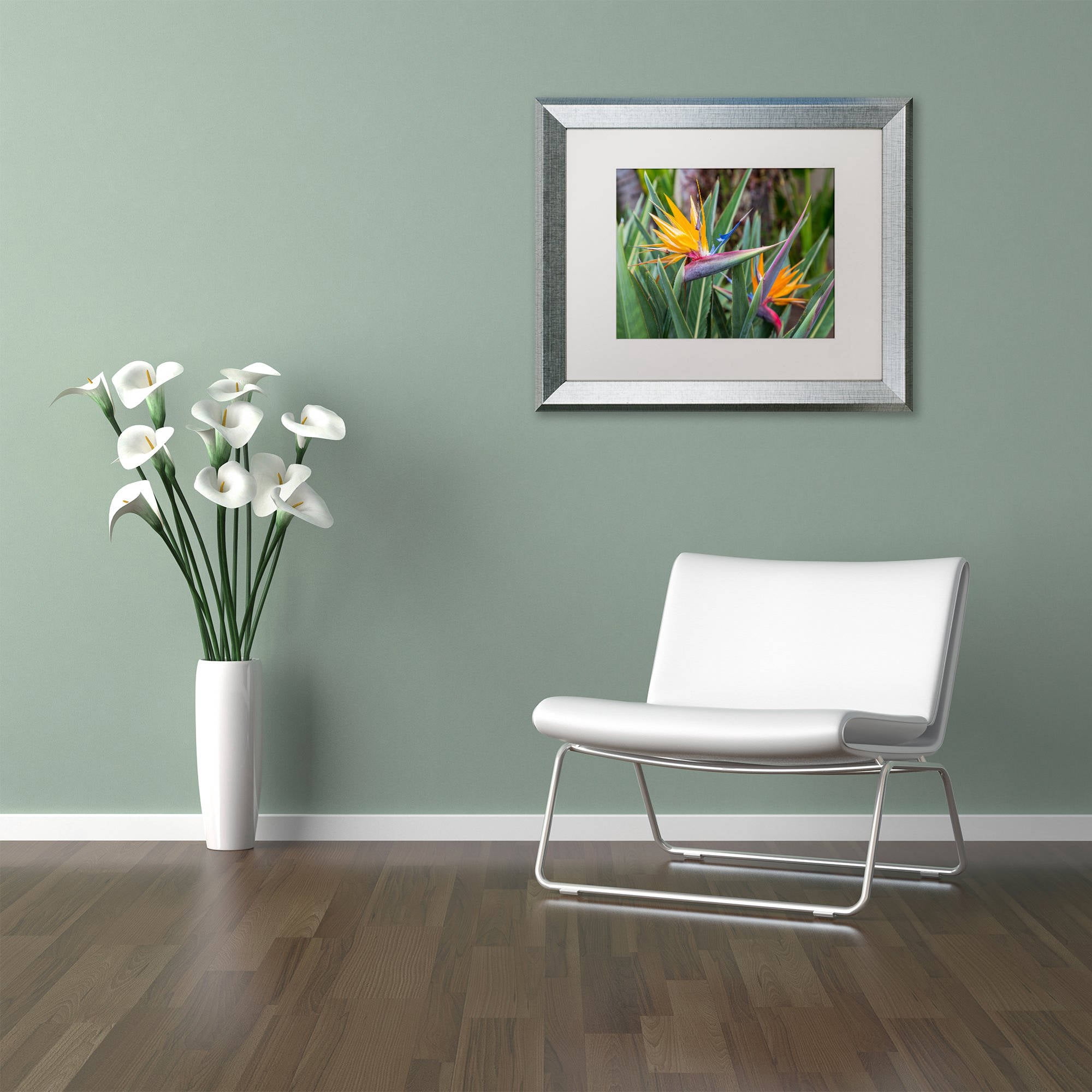 Trademark Fine Art 'Two Birds of Paradise' Canvas Art by Pierre Leclerc, White Matte, Silver Frame