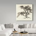 thumbnail image 3 of Trademark Fine Art 'Sumi Tree II' Canvas Art by Chris Paschke, 3 of 3