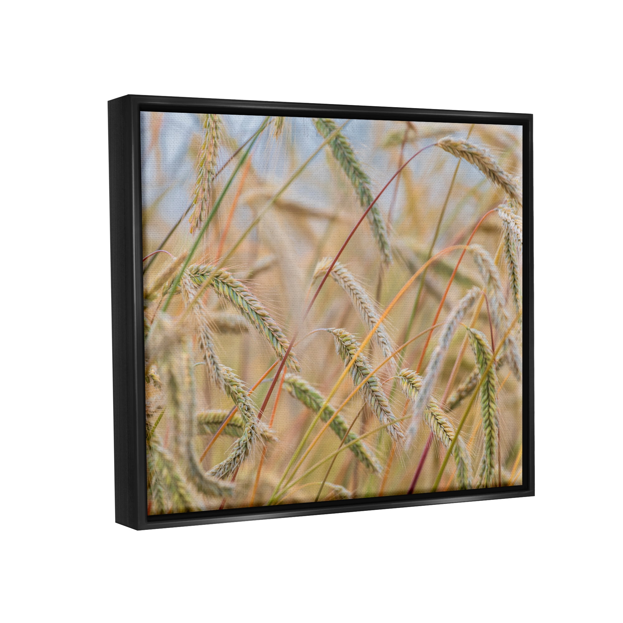 Stupell Industries Country Wheat Photography Nature Photography Black Floater Framed Art Print Wall Art, 21 x 17