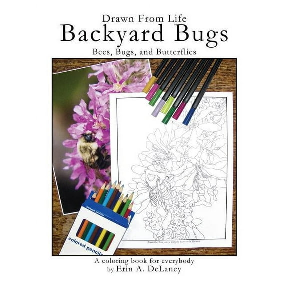 Drawn From Life Backyard Bugs: Bees, Bugs, and Butterflies, (Paperback)