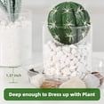 thumbnail image 6 of 5-Pack Clear PlasticSaucers - 12 Inch Round Water Catcher Trays for Indoor & Outdoor Pots, Self-Watering Drainage Accessories, Lightweight Durable Pot Trays with Rim, 6 of 9