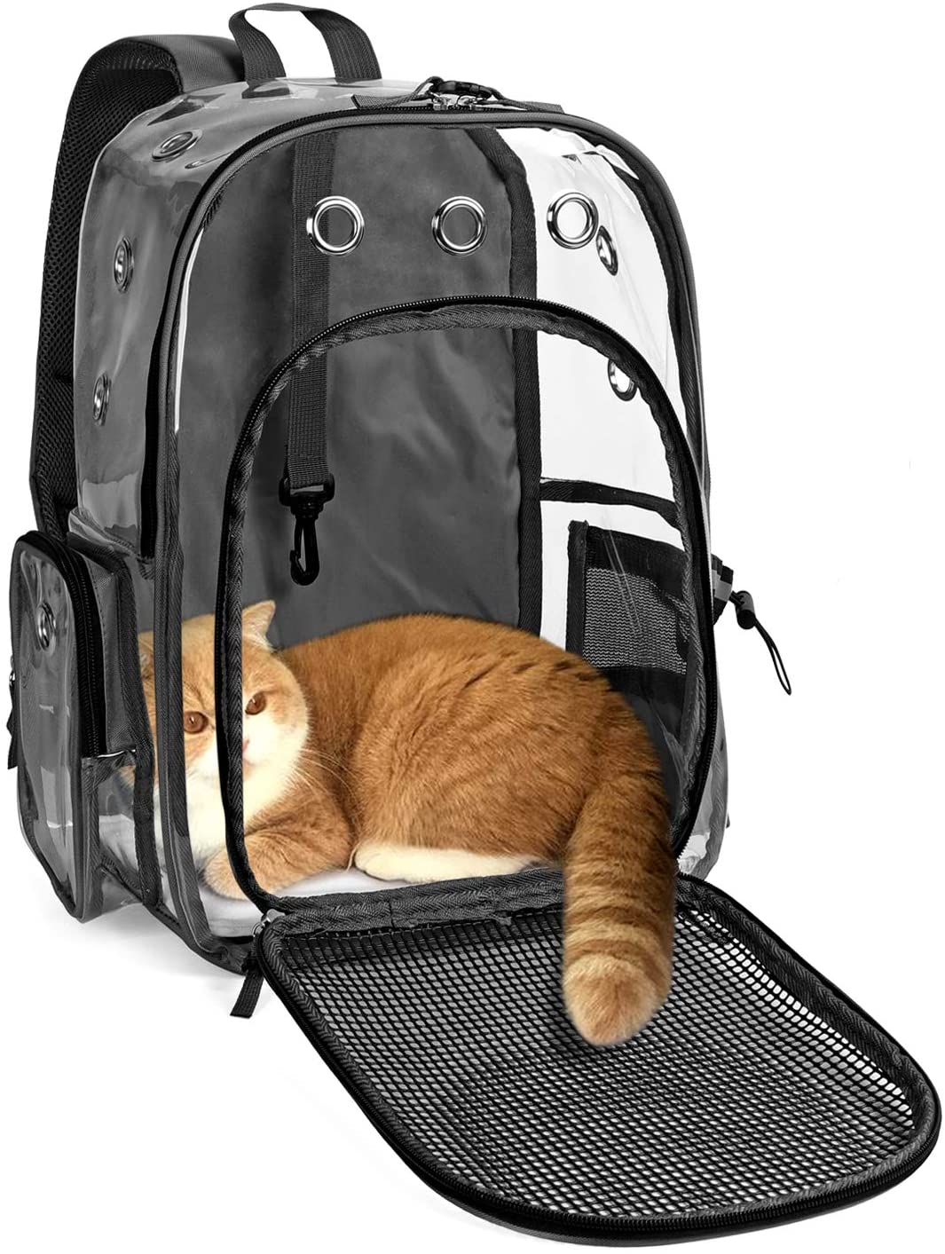 IGUOHAO Cat Backpack Carrier Clear Small Pet Cat Dog Carrier Front