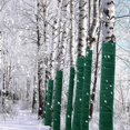 thumbnail image 4 of Tree Protection Wraps - 65 Feet Winter Resistant to Protect Tree Trunk, Shrubs, Plants, Bandage, Tree Protection Wrap to Keep Warm and Hydrated, Tree, 4 of 5