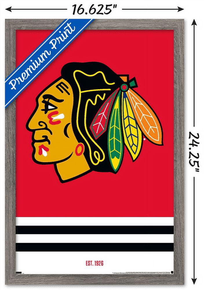 NHL Chicago Blackhawks - Logo 21 Wall Poster, 14.725" x 22.375", Framed