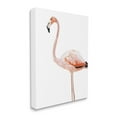 thumbnail image 3 of Stupell Industries Tropical Pink Flamingo Bird Casual Animal Design Graphic Art Gallery Wrapped Canvas Print Wall Art, Design by Amelia Noyes, 3 of 7