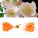 thumbnail image 3 of Estambre 1800 piezas flor artificial accesorio de flores al azar ANGGREK  Otros, 3 of 8
