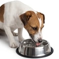 thumbnail image 2 of One Paw, Stainless Steel Bowl for Dogs and Cats, Perfect for Food, 950 ml, 2 of 7
