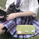 thumbnail image 3 of Sywqhk Estuche De Lona Coreano Para Lápices Kawaii, Bolsa Grande Para Almacenamiento De Cosméticos (Verde) Sywqhk Para estrenar, 3 of 4