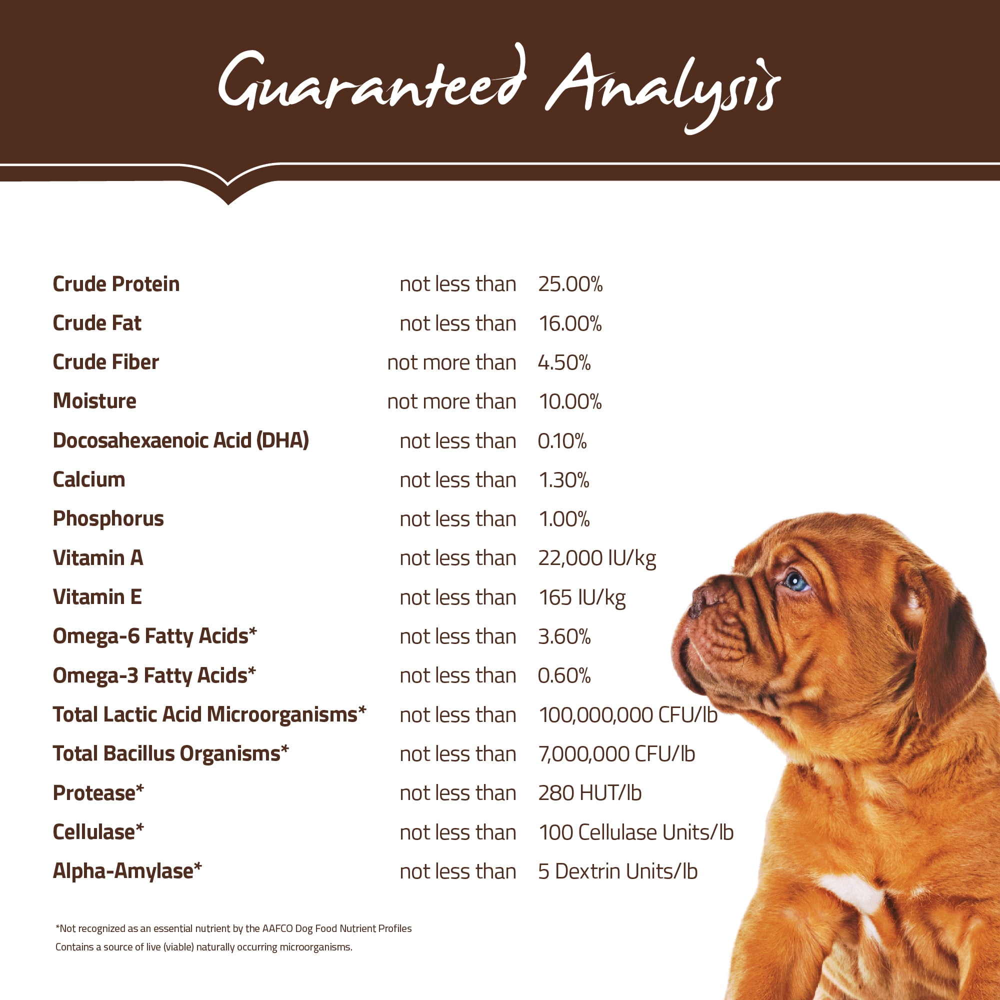 holistic giant breed puppy food