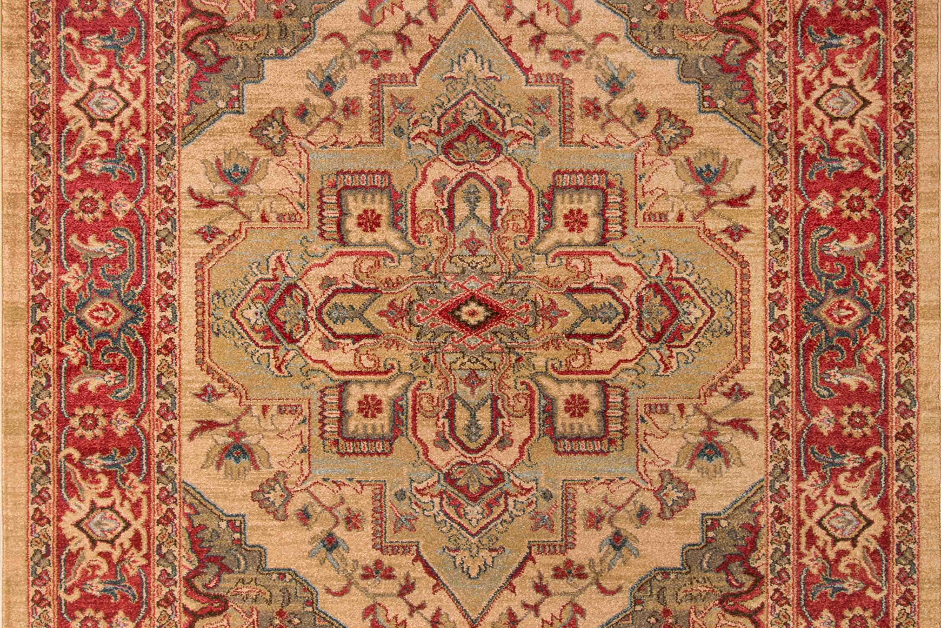 ECARPET Lux Traditional Area Rug for Living Room, Bedroom, Dining Entrance, Hallway and More.