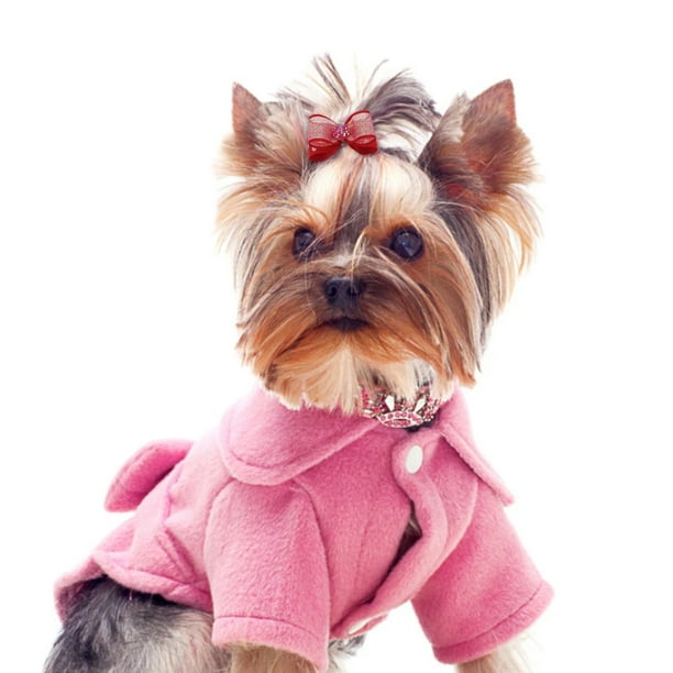 Best anti bark collar for yorkie sales