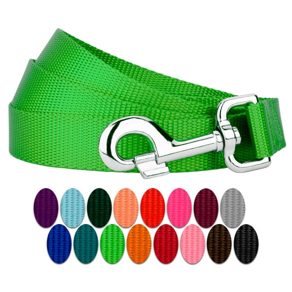 Country Brook Petz® 6ft By 3/4 Inch Hot Lime Green Heavyduty Doublehandle Nylon Leash