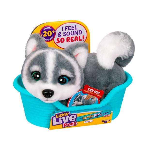Peluche interactivo Little Live Pets Mini Aurora Husky Walmart