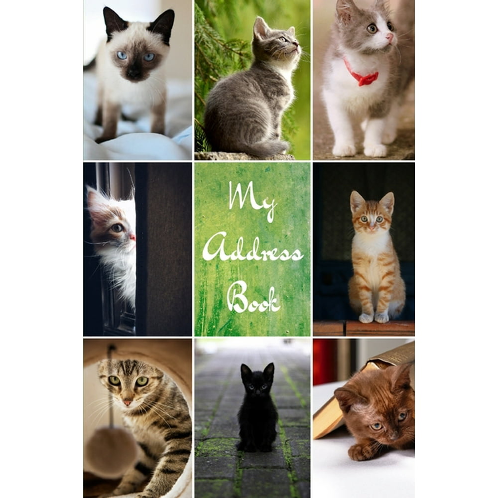 My Address Book Cat Cover Address Book for Names, Addresses, Phone