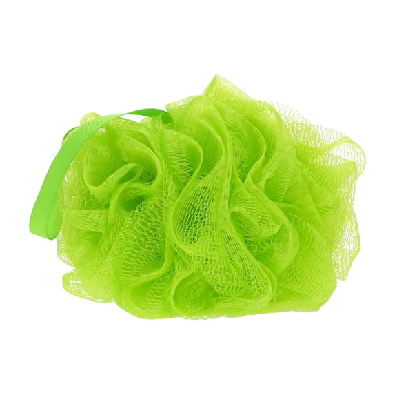 Nikki Secret Sea Foam/Sage Green Mesh Bath and Shower Sponge