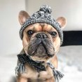 thumbnail image 1 of Fiudx Gorro de Invierno para Perro, Tejido Cálido, Borlas con Pompones para Un Look Adorable, Resistente Al Viento y Funcional, Protección para Juegos Al Aire Libre, Ropa de Invierno para Perros, Dis, 1 of 3
