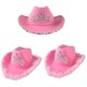 thumbnail image 1 of 3 Sombreros de Vaquero Rosa Fieltro para Mujer Y Niña., 1 of 9