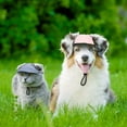 thumbnail image 4 of Keep Your Pet Stylish and Protected with This Adjustable Sports Cap!, 4 of 5