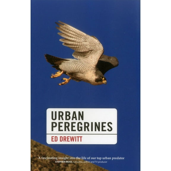 Urban Peregrines (Hardcover)