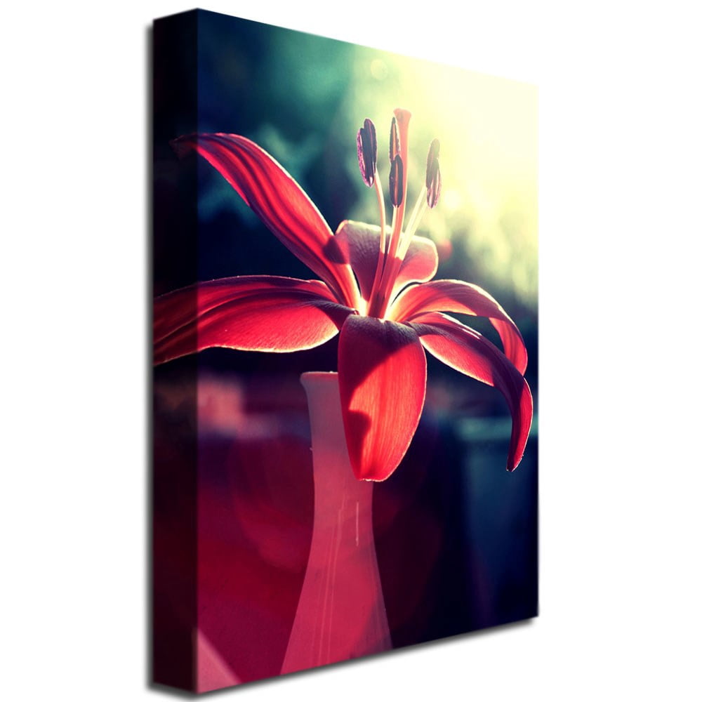 Trademark Fine Art Beata Czyzowska Young 'Lady in Red' Canvas Art 30x47 Inches