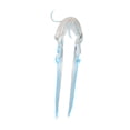 thumbnail image 3 of Peluca de cosplay de anime Strade Fareast Limited 100 cm, 3 of 8