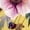 Yellow, variant on UNISHE Women's Yellow V-Neck T-Shirt Watercolor Floral Print Short Sleeve Casual Loose Fit S-5XL