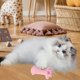 thumbnail image 3 of Juguete de peluche para gato Xeyise con sonido incorporado, papel con forma de pata adorable, algodón PP, completamente relleno, alivia el aburrimiento, comodidad emocional, resistente a las, 3 of 7