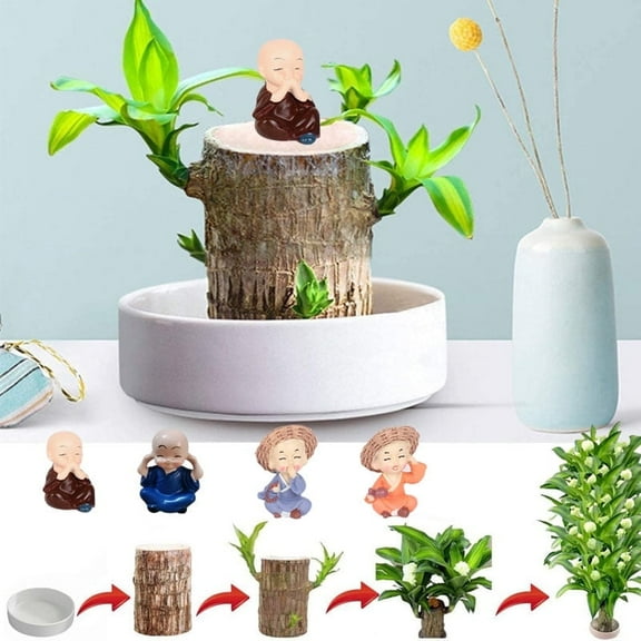 New Brazilian lucky wood green plant, with a ceramic tray and doll, hydroponic stump purifying indoor air, suitable for home office desk decoration and as a gift. (1pc)