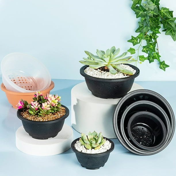 kjfeif Plastic Round Succulent Pot, Short and Chubby Pot, Large Succulent  Pot, Korean Style Succulent Pot, New Model - Walmart Business Supplies