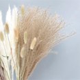 thumbnail image 4 of 40 Uds. De caña seca, pequeñas flores de Pampas, decoración de banquete Artificial, decoración del hogar de plantas reales, 4 of 5