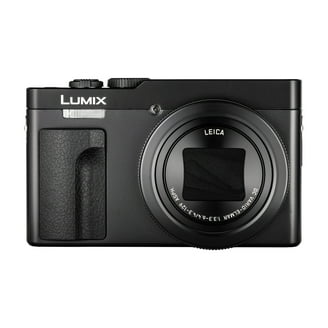 Panasonic LUMIX ZS99 Digital Camera - Walmart.com