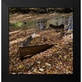 thumbnail image 2 of Lewis, Sheldon 15x15 Black Modern Framed Museum Art Print Titled - Dreamy Creek, 2 of 5