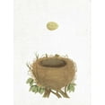 thumbnail image 2 of Wild Apple Portfolio 19x24 White Modern Wood Framed Museum Art Print Titled - Spring Nest II, 2 of 4