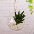thumbnail image 3 of Hanging Glass Propagation Station Clear Terrarium Planter for Flowers Air Hydroponic Plants Small Indoor Flower Vase for Home Room Window Office Decor, 3 of 8