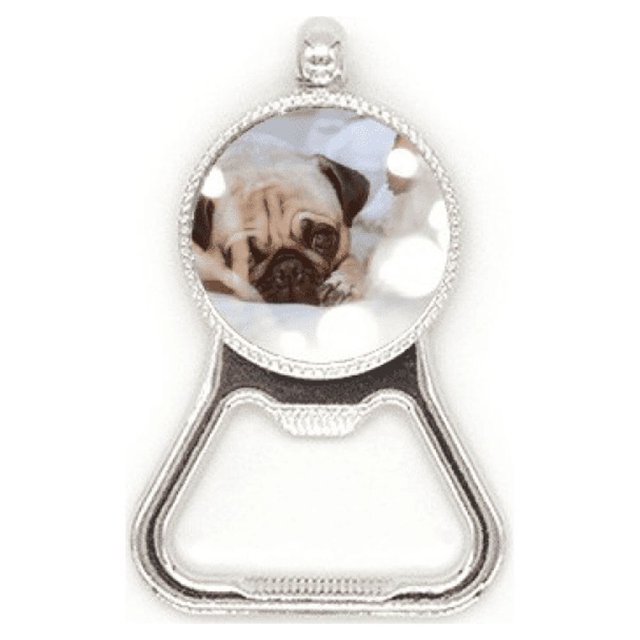 Bulldog mascota animal solo foto Acero inoxidable Metal cerveza tapa sacacorchos