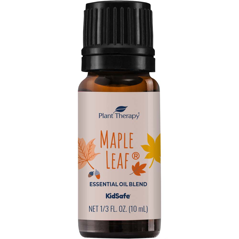 Plant Therapy Maple Leaf Fall Essential Oil Blend 100 Pure, Undiluted