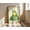 Rolled Canvas, variant on Toilet Humor Frog Wall Art, Sage Green Bathroom Poster, Meme Animal Decor