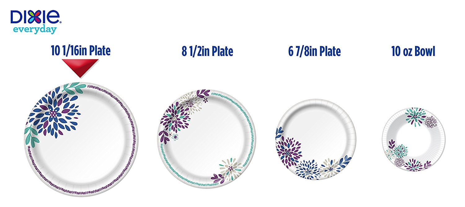 Dixie Plastic Plates & Dixie Paper Plates 8 12 Diameter Pathways Design