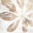 thumbnail image 2 of Art.com Neutral Palm Fossil III Stretched Canvas Print Wall Art by June Vess, 16" x 16", 2 of 4