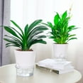 thumbnail image 2 of Transparent Plastic Self Watering Planter Automatic Water Absorption for Indoor & Outdoor Plants, 2 of 7
