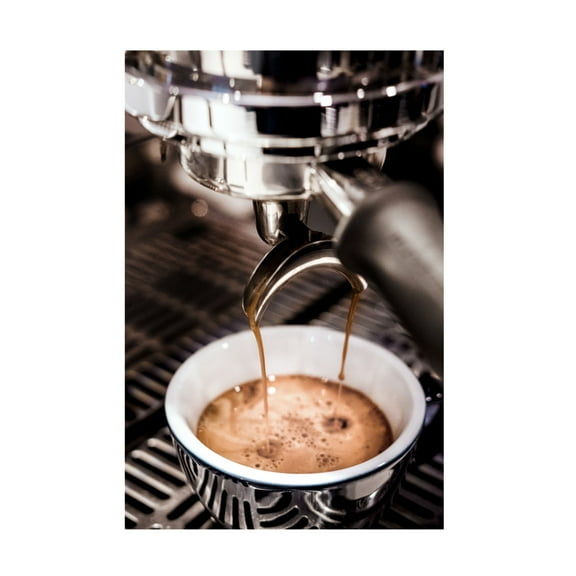 Pictufy Studio III 'Coffee 2' Canvas Art - 12 x 19 Inches