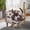 Brown+White + Polyester + Velvet + Foam, variant on Black and White Cow-Shaped Animal Ottoman Footstool, Modern Accent Stool & Home Decor for Living Room, Bedroom, Porch, Garden, Backyard & Balcony