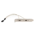 thumbnail image 4 of Injueey Adaptador de Cable de extensión de 2 puertos USB 2,0 a 9 pines para ordenador, soporte de Panel trasero, Cable extensible de 9 pines Juegos de teclado y mouse para computadora, 4 of 5