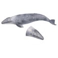 thumbnail image 1 of Animales Oceánicos, Criata Marina Realista de Juguete Cognitivo Figuras de animales de Mar Modelado de Ballenas Grises Vida Marina para Niños Para Juguetes Educativos de De, 1 of 7