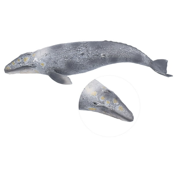 Animales Oceánicos, Criata Marina Realista de Juguete Cognitivo Figuras de animales de Mar Modelado de Ballenas Grises Vida Marina para Niños Para Juguetes Educativos de De