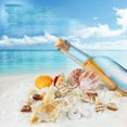 thumbnail image 2 of BeesClover 500G Natural Sea Conch Handicrafts Various Styles for Aquarium Fish Tank Turtle Tank Landscaping Decoration, 2 of 7