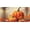 Pumpkin Leaf Fall, variant on Decorative Design Vanity License Plate, Decorative Car Tag, Aluminum, 4-Hole, 6 x 12 Inch