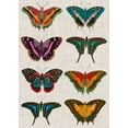 thumbnail image 2 of Vision Studio 11x14 Gold Ornate Wood Framed with Double Matting Museum Art Print Titled - Polychrome Butterflies II, 2 of 4