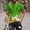 Green, variant on Shirts for Men Graphic Tees, Men's Summer Novelty 3D Beer Bubbles Printed Short Sleeve Oversized T-Shirt Tops Shirts and Blouses Holiday Gifts(Green,L)