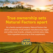 Natural Factors SAMe 200 mg, Helps Improve Joint Health, 60 Tablets